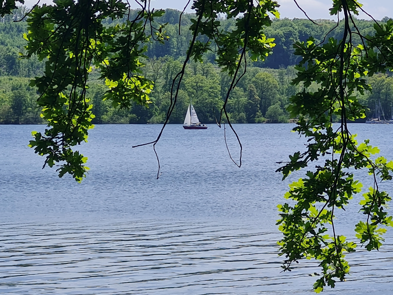 Hygge - Ferienwohnung - Aussicht